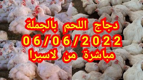 ثمن الدجاج اليوم بالمغرب 2023